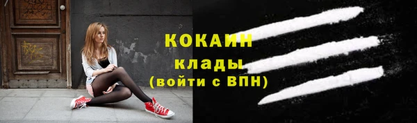 сатива Аркадак