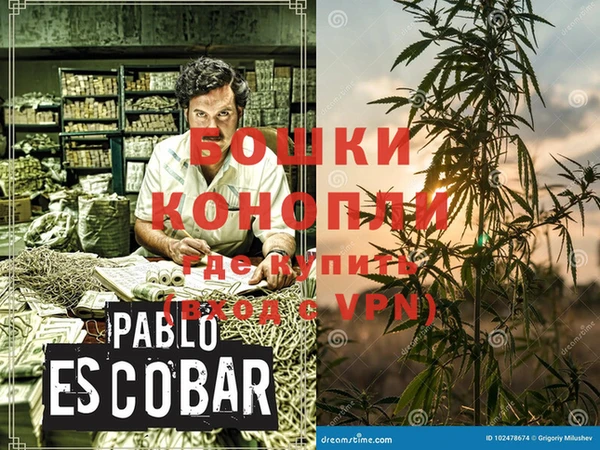 сатива Аркадак