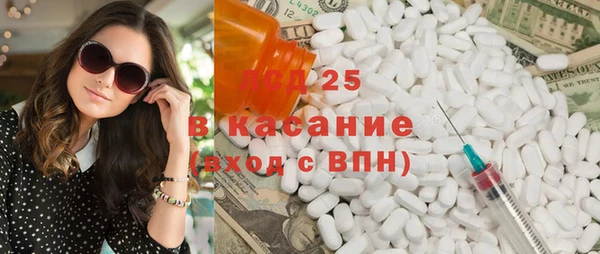 сатива Аркадак