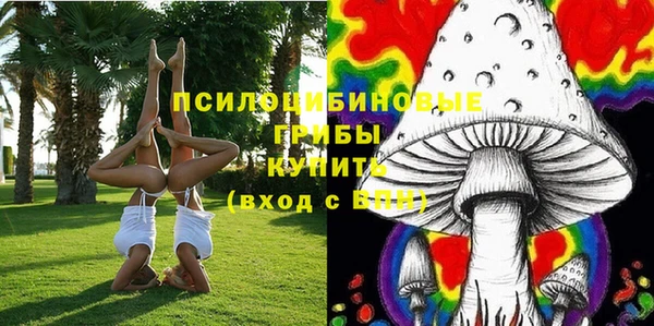 сатива Аркадак