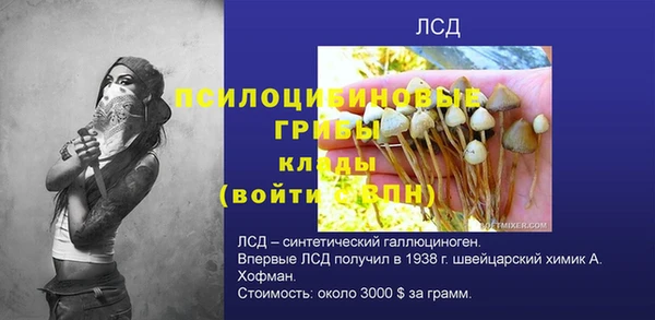 сатива Аркадак