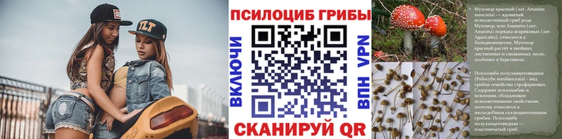 Галлюциногенные грибы прущие грибы  где найти   Скопин 