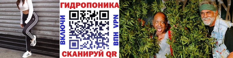 Марихуана план  Скопин 